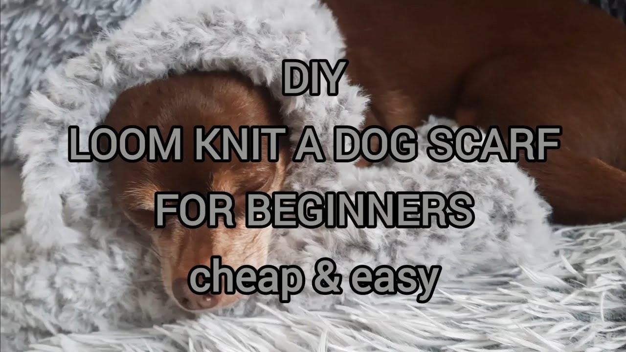 Loom Knit A Dog Infinity Scarf For Beginners