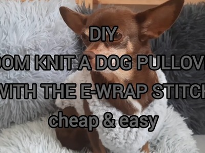 Loom Knit a Dog Pullover with the E-wrap Stitch