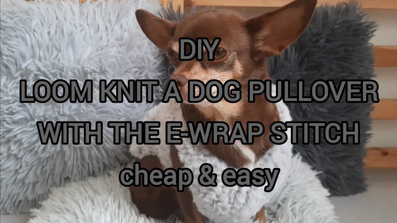 Loom Knit a Dog Pullover with the E-wrap Stitch