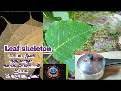 How to make Peepal leaf skeleton in 1 day| Don't wait 1 month use this easy idea