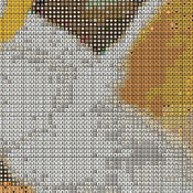 Cockatoo Bird Hibiscus NeedleWork DMC Cross Stitch Pattern***L@@K***Buyers Can Download Your Pattern As Soon As They Complete The Purchase