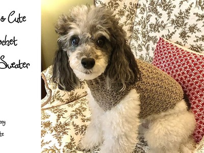 Easy & Cute Crochet Dog Sweater Round 2