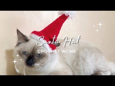 Crochet w. Me (Santa Hat for Kath)