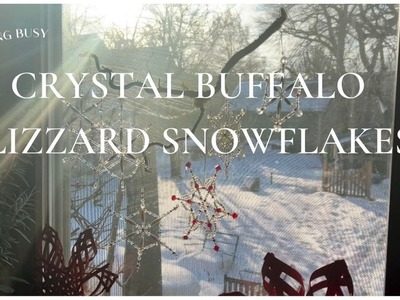 Christmas Blizzard of 2022 - Keeping Busy and Crafting Crystal Snowflakes