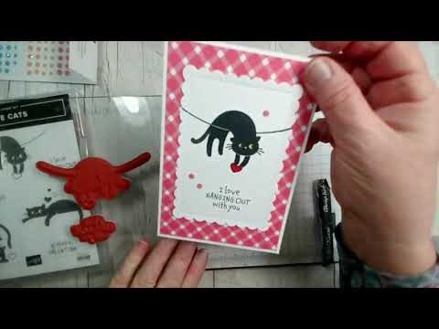 NEW cute cat stamp set from Stampin' Up! - join me as I make a simple card.