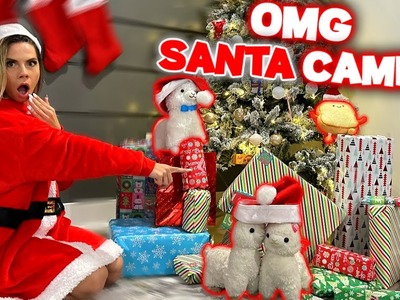 My Llamas Go CRAZY When SANTA SHOWS UP !! WHAT DID HE BRING THEM ?!?