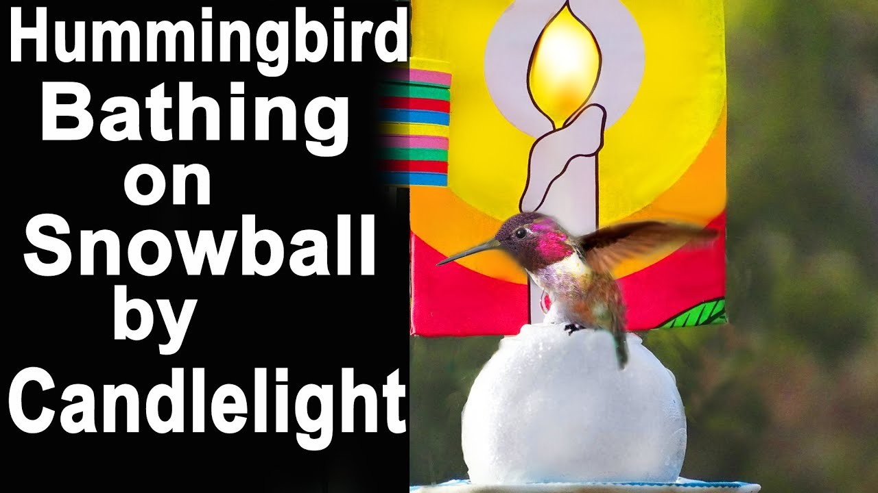 Amazing Hummingbird Snow BALL Birdbath EASY DIY * How to Make Water Fountain Solar Powered PORTABLE