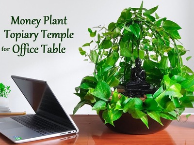 Amazing Money plant Topiary Temple Idea for Office Table-Money plants Decoration ideas.GREEN PLANTS
