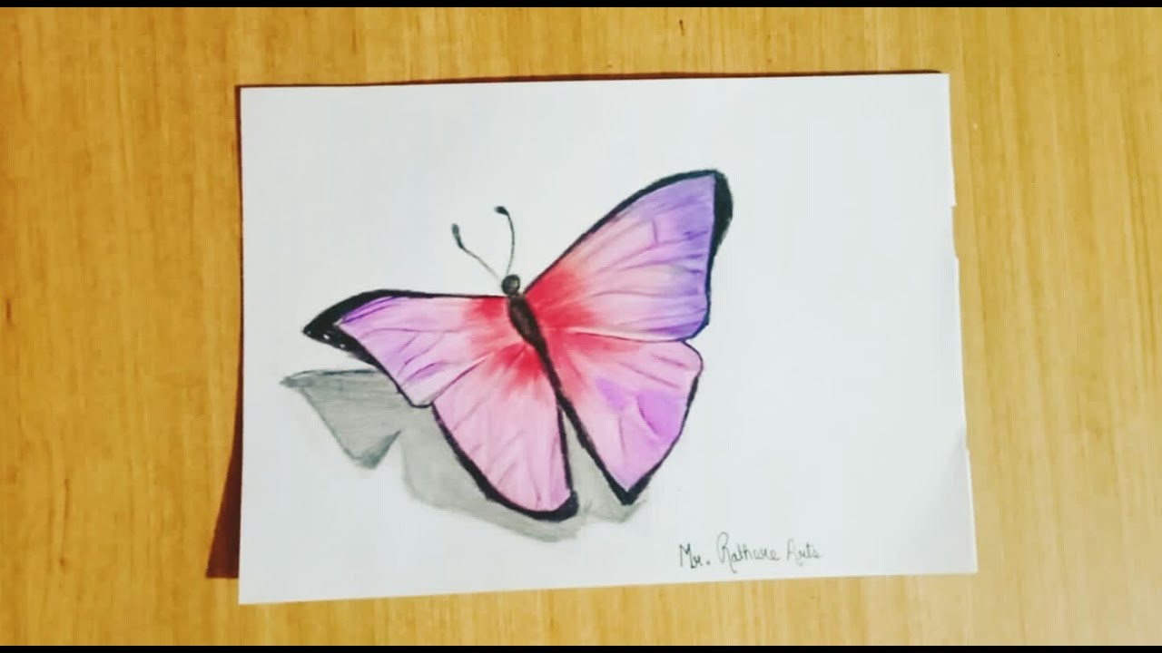 How to draw 3D Butterfly drawing with colour pencil step by step | creative drawing tutorial |