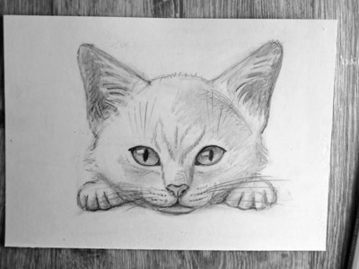 How to draw a cat - pencil sketch for beginners