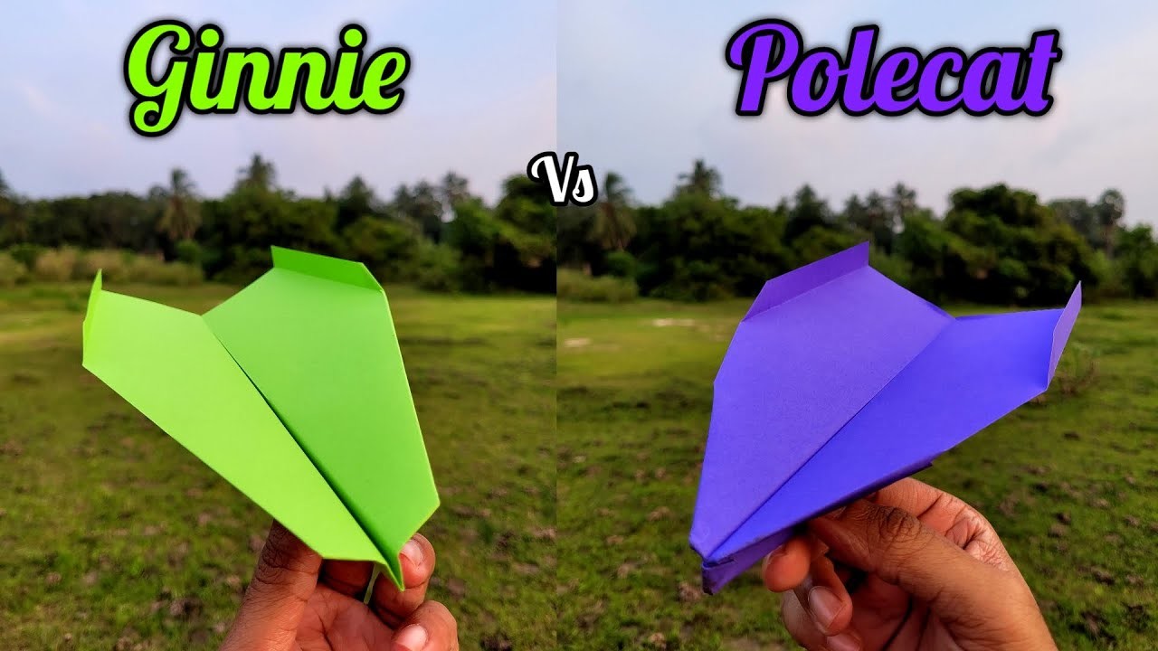 Ginnie vs Polecat Paper Airplanes Flying and Making