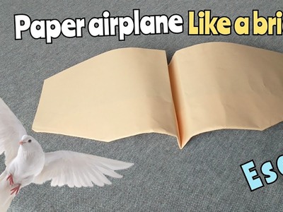 How to make a paper plane like a bird