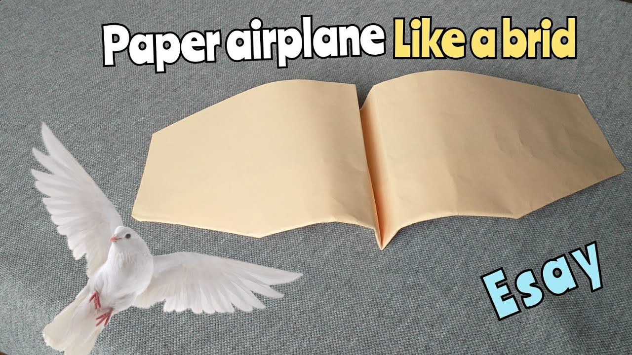 How to make a paper plane like a bird