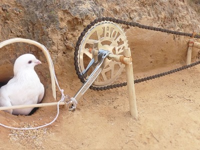 Easy Bird Trap - Simple DIY Creative Bird Trap make From Bike Crank Tools Work (100%)