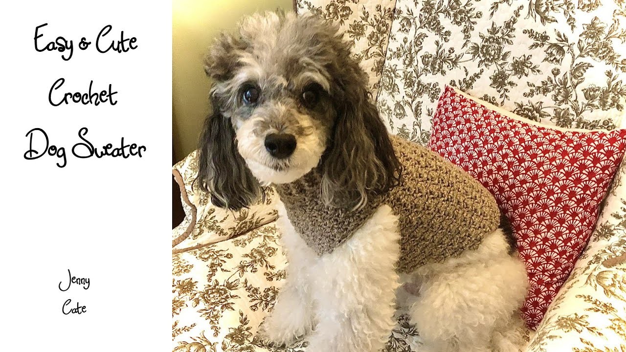 Easy & Cute Crochet Dog Sweater Rounds 5-8