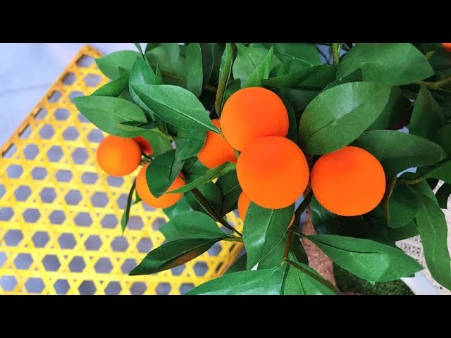 ABC TV | How To Make Mini Tree Paper With Balloon - Craft Tutorial