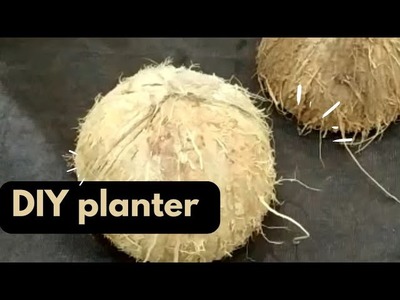 Amazing Coconut Shell Craft!