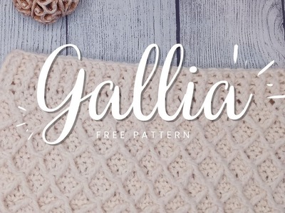 Easy Crochet Cowl | How To Crochet A Cowl | Crochet Gallia Cowl | Missouri Makes