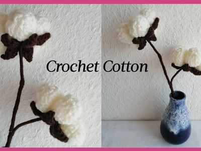 Crochet Cotton (Gossypium Herbaceum)