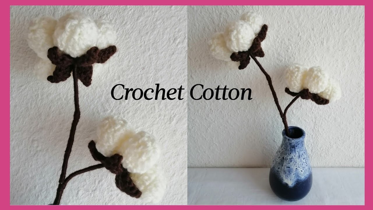 Crochet Cotton (Gossypium Herbaceum)