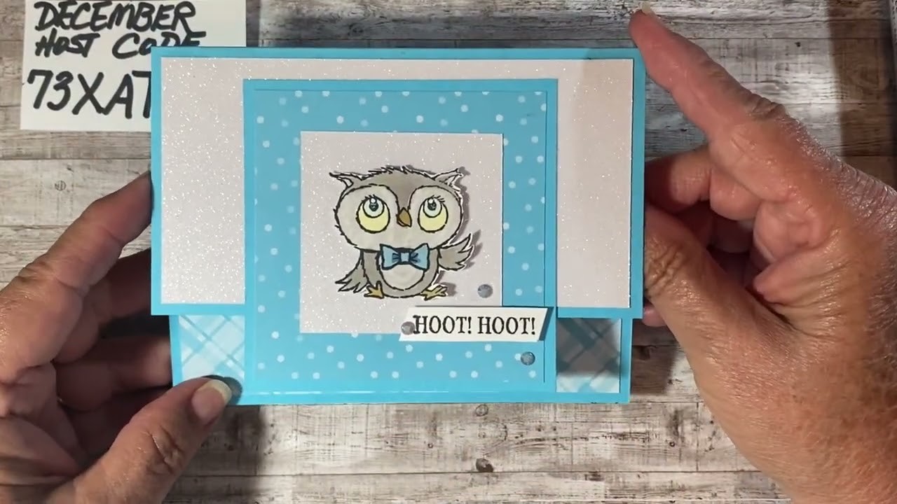 Wow Wednesday - Adorable Owls from SAB. Like & Comment for a chance to win two cards from the video