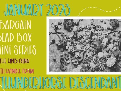 January 2023 Bargain Bead Box Mini Series with Thunderhorse Descendant: The Unboxing