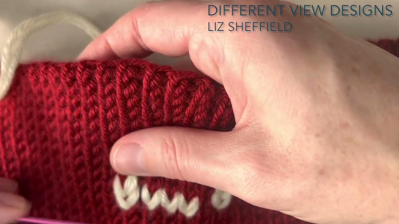 Duplicate Stitch on Crochet
