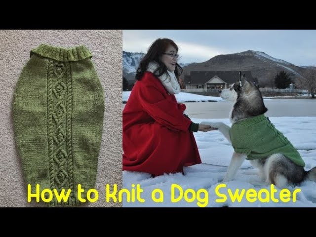 How to Knit a Dog Sweater _1