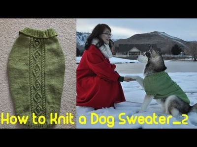 How to Knit a Dog Sweater_2