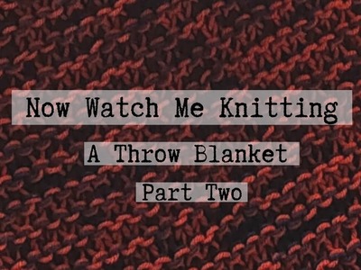 Now Watch Me Knitting, A Throw Blanket, Part 2