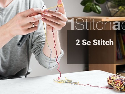 Double(Two) Single Crochet Stitch  pattern-  Learn 1 crochet stitch a day