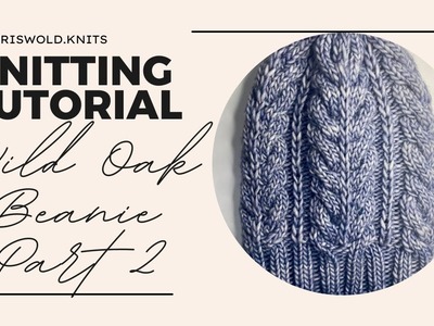 PART 2: BODY OF THE HAT Step-By-Step Knitting Tutorial Wild Oak BEANIE