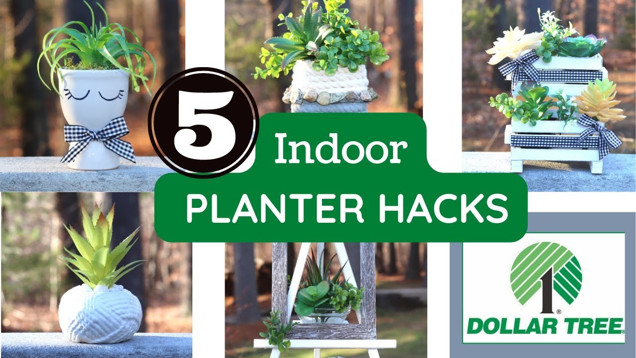 5 Easy DIY INDOOR DOLLAR TREE PLANTER HACKS That You Will LOVE | SUCCULENTS Tiered Tray Ideas