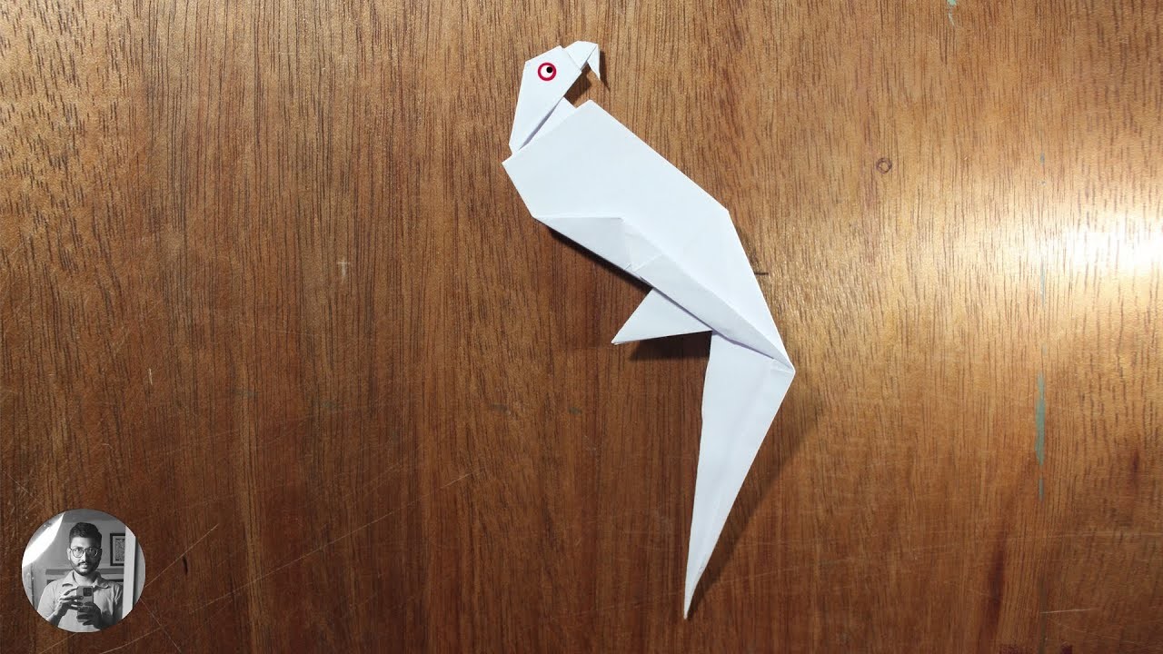 Origami Parrot Making | Origami Parrot