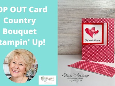 Pop Out Fun Fold Card Tutorial | Hint: These Make Great Valentine Cards!