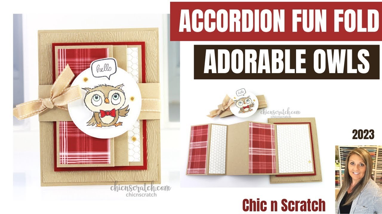 Accordion Fun Fold Card Adorable Owls