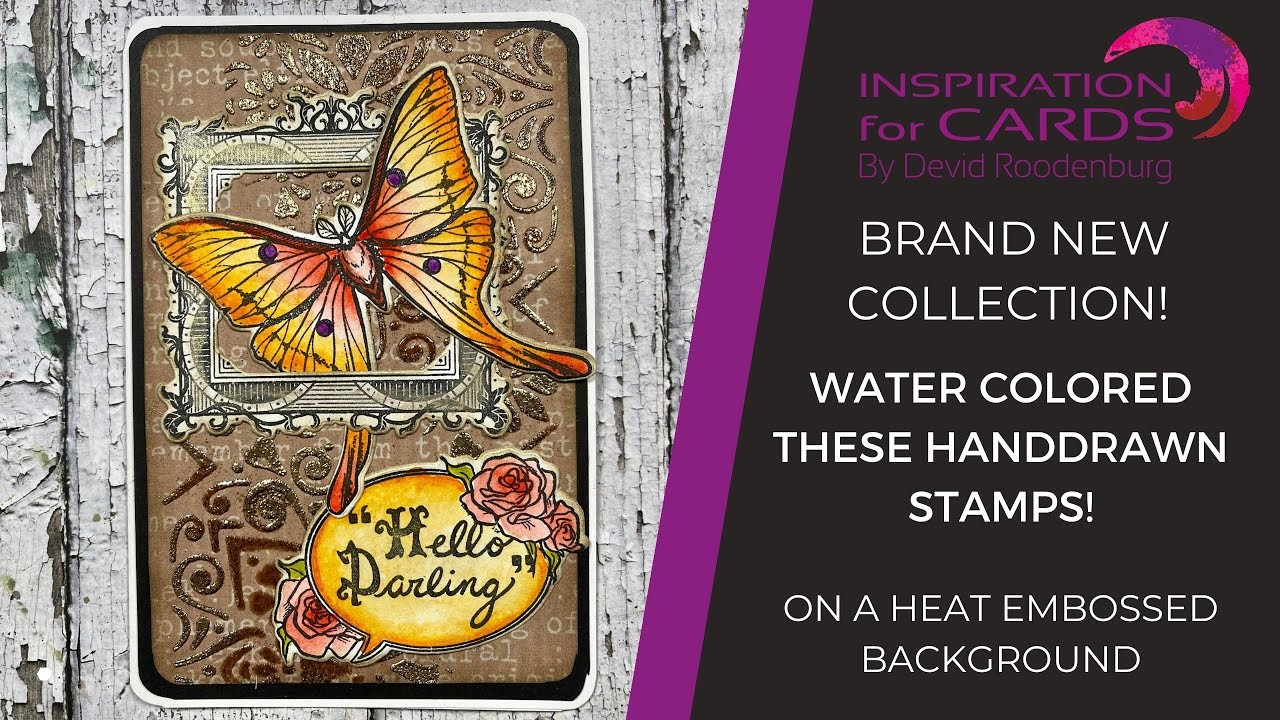 Brand new collection: vintage butterly card with watercoloring