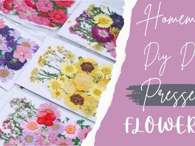 Homemade DIY Pressed Flower | How to make dry pressed flower | Diy Pressed flowers at home ????