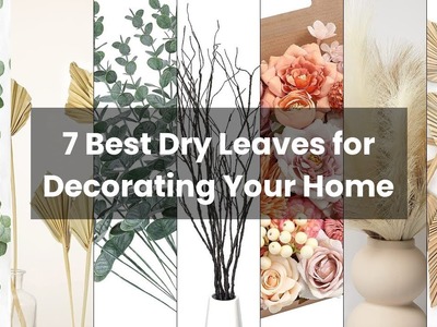 Dry leaves for decoration: 7 Best Dry Leaves for Decorating Your Home