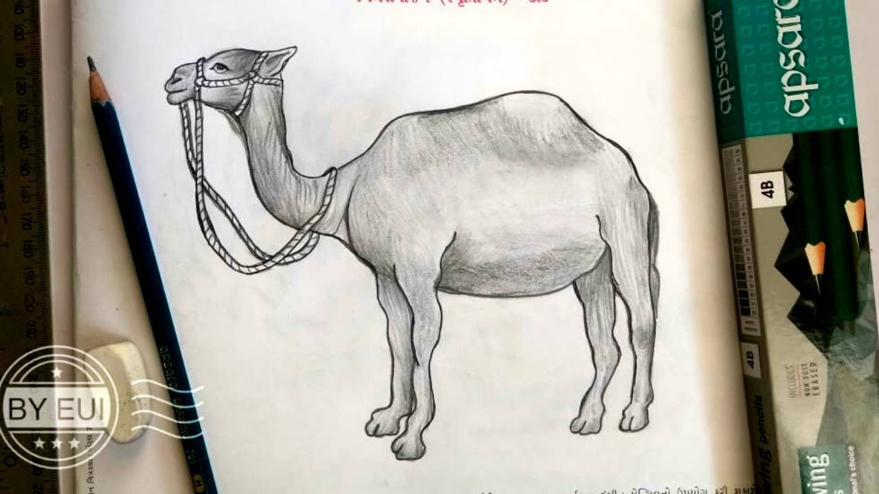 How to Draw a Camel | Camel Sketch Very Easy| Animal Drawing For New Beginners | Drawing by Vedanshi