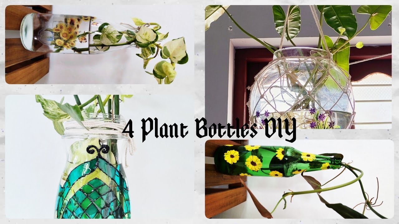Bottle Painting and Decoration Ideas for Indoor Plants. 4 Plant Bottles DIY