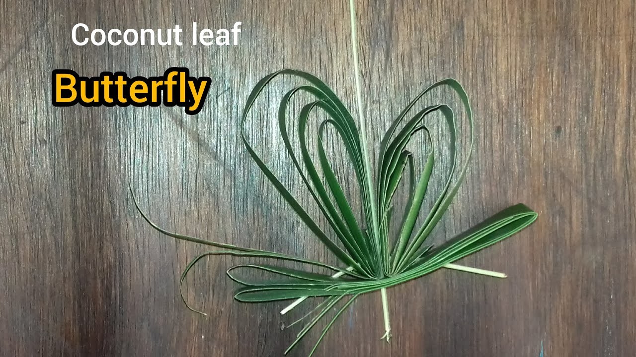 DIY Butterfly Craft using Coconut Palm Leaves