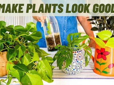 GENIUS Ways To Display Indoor Plants In Style | DIY Planters And Hangers | Home Gardening