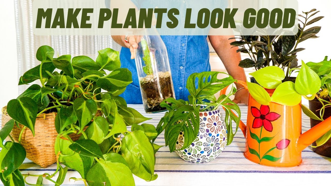 GENIUS Ways To Display Indoor Plants In Style | DIY Planters And Hangers | Home Gardening