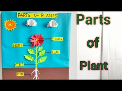 Parts of Plants.Plants of Plants 3D model.Parts of plant model for science project.Parts of plant