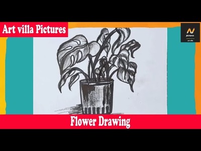 Flower Pot Drawing | How to Draw | Easy Drawing |