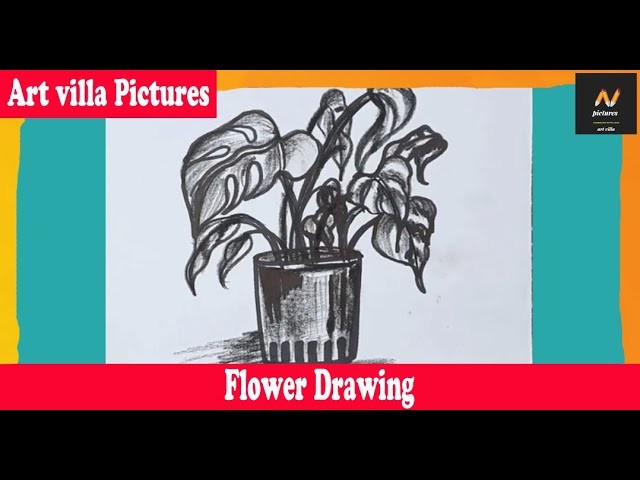 Flower Pot Drawing | How to Draw | Easy Drawing |