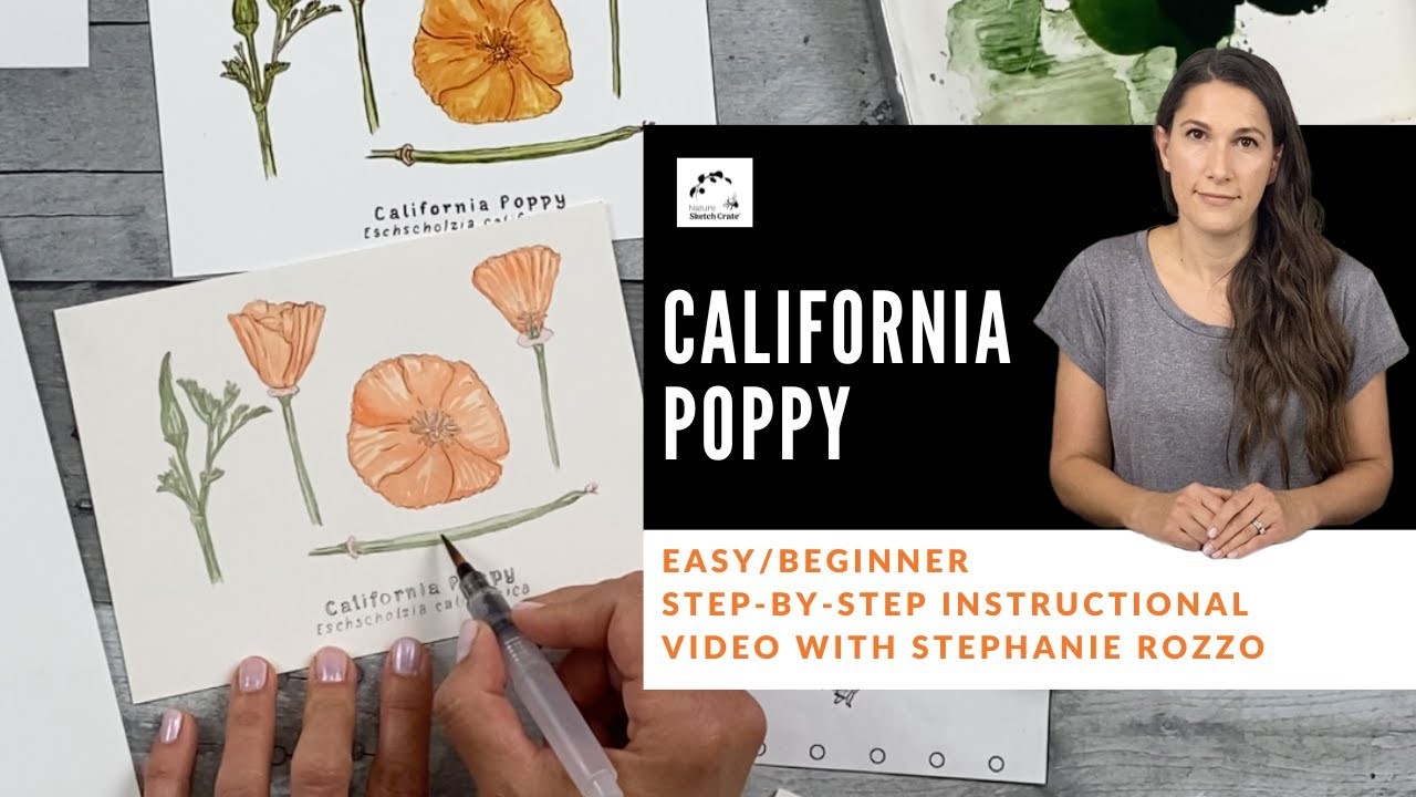 California Poppy watercolor tutorial: EASY.beginner. For NSC step-by-step lesson kit. DIY