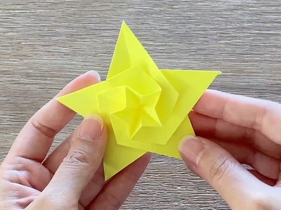 Origami Star. Paper Star