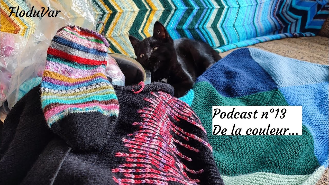 Podcast 13 : de la couleur .  (pythagore, dragonnier, scrappy socks)